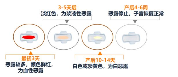 图片8.png