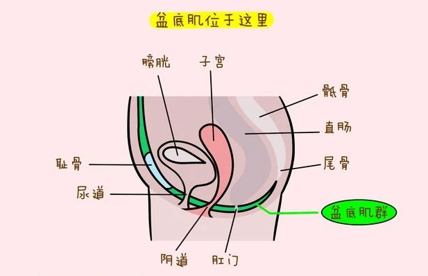 微信截图_20221021143020.png