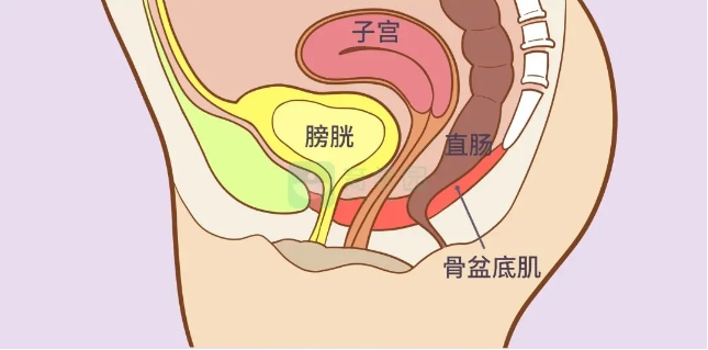 微信截图_20240812153024.png