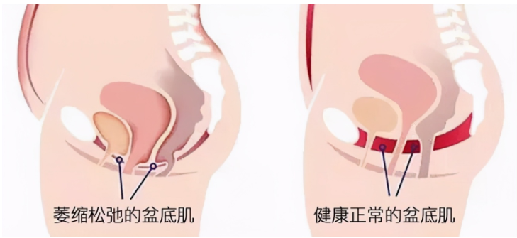 1765941725837019.png 微信截图_20210304112814.png