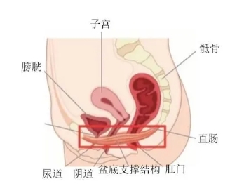 微信截图_20240515155036.png
