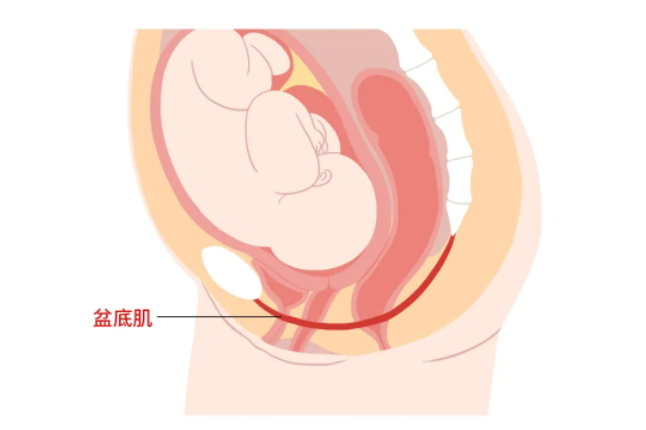 微信截图_20220215155914.png